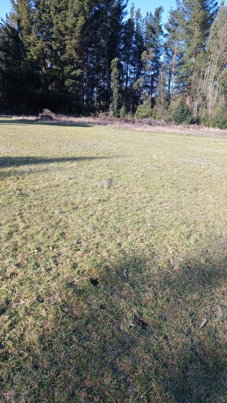 Parcela en venta en Pitrufquén — foto 5