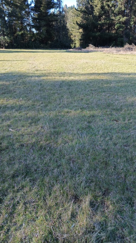Parcela en venta en Pitrufquén — foto 6