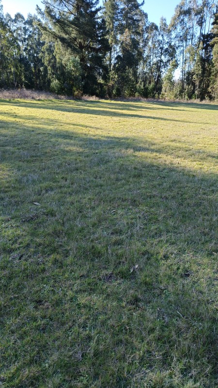 Parcela en venta en Pitrufquén — foto 7