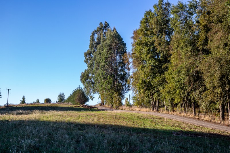 Parcela en venta en Villarrica — foto 2