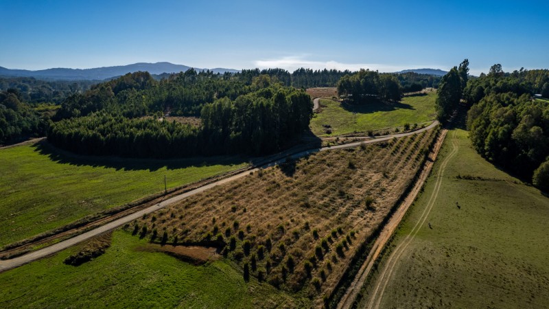 Parcela en venta en Villarrica — foto 3
