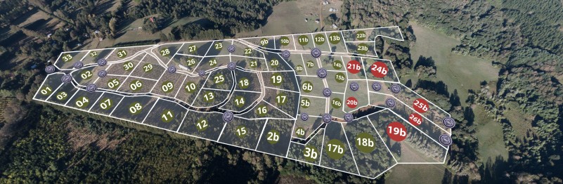 Parcela en venta en Villarrica — foto 6