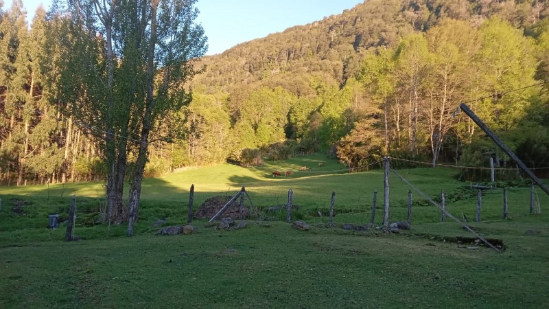 Parcela en venta en Curacautín — foto 2