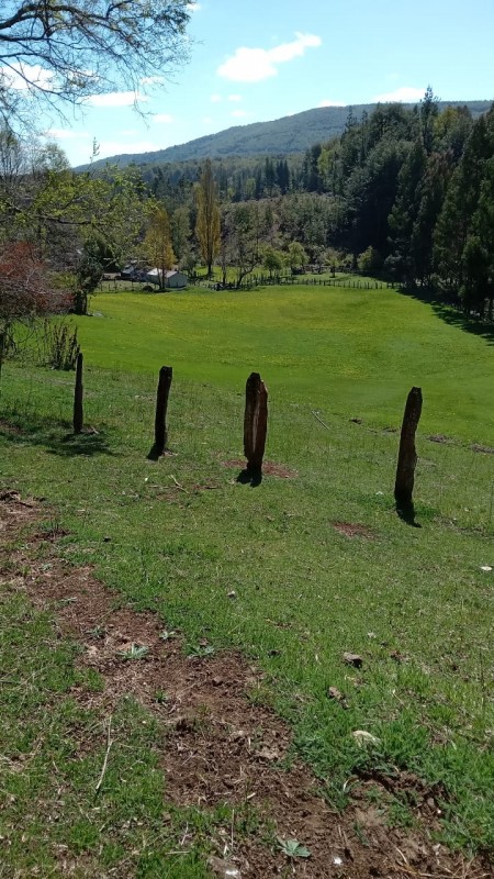 Parcela en venta en Curacautín — foto 3