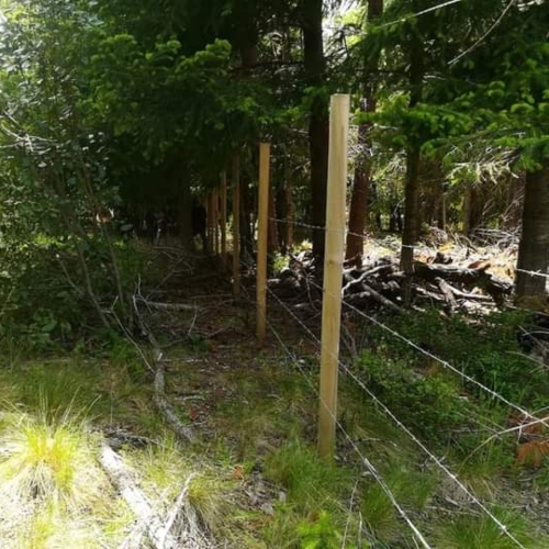 Parcela en venta en Pucón — foto 4