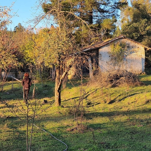 Parcela en venta en Curepto — foto 6