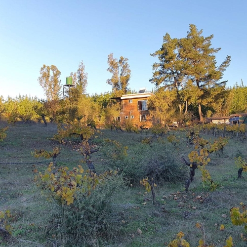 Parcela en venta en Curepto — foto 7