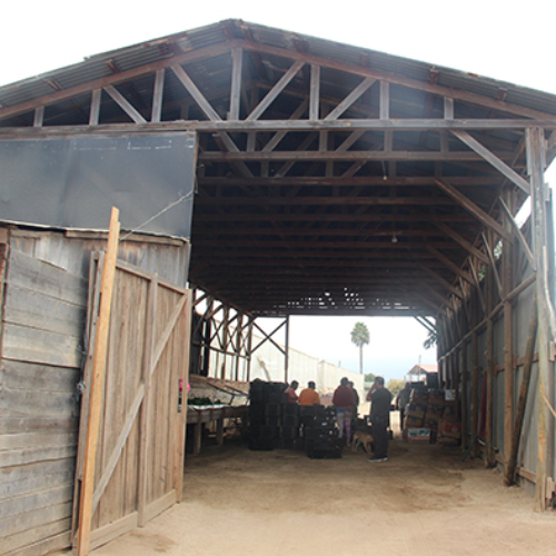 Parcela en venta en Limache — foto 4
