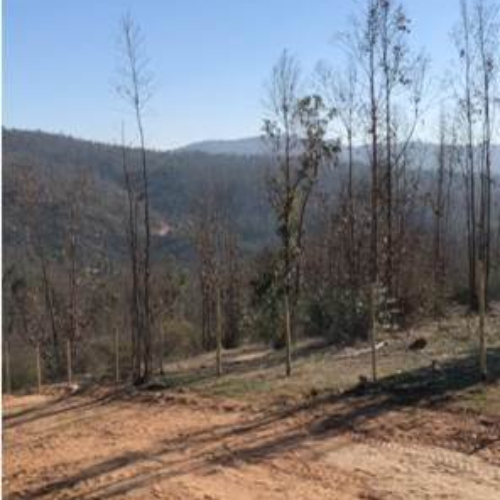 Parcela en venta en Limache — foto 10