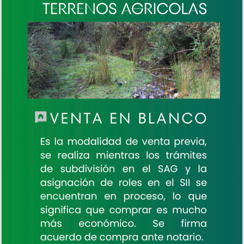 Terreno en venta en Queilén — foto 2