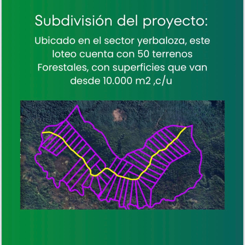 Terreno en venta en Queilén — foto 3