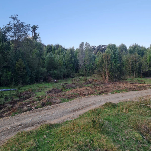 Terreno en venta en Queilén — foto 7