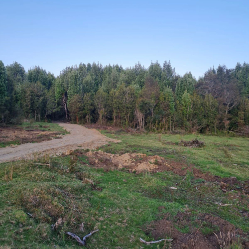 Terreno en venta en Queilén — foto 8