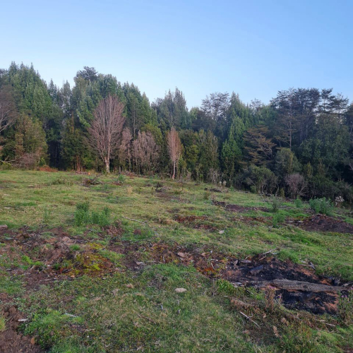 Terreno en venta en Queilén — foto 9