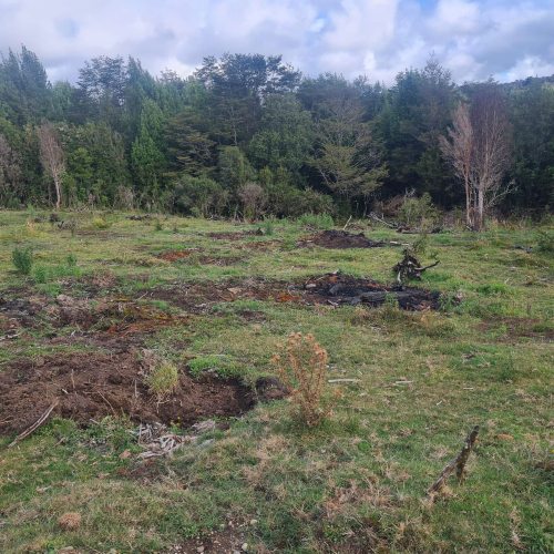 Terreno en venta en Queilén — foto 10