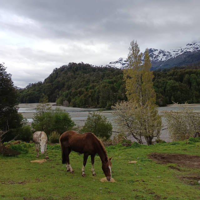 Terreno en venta en Coyhaique — foto 2