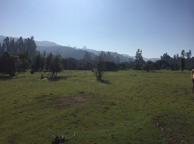Parcela en venta en Casablanca — foto 6
