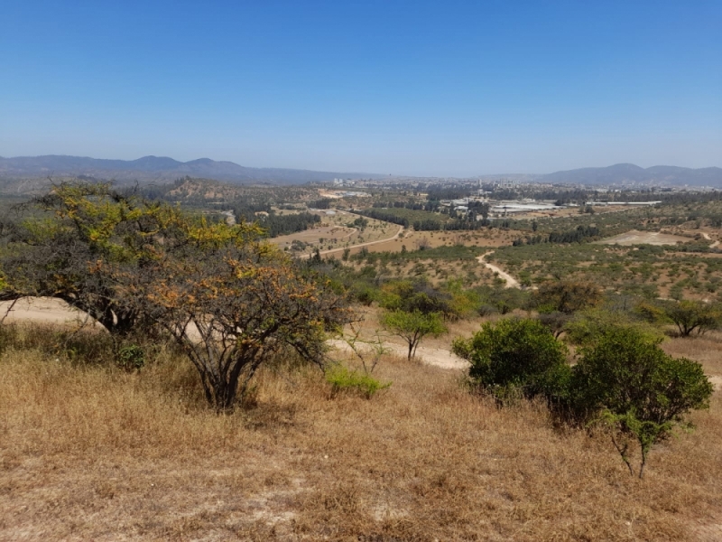 Terreno en venta en Villa Alemana — foto 1