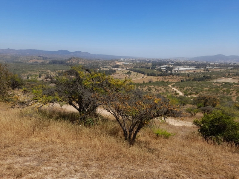 Terreno en venta en Villa Alemana — foto 4