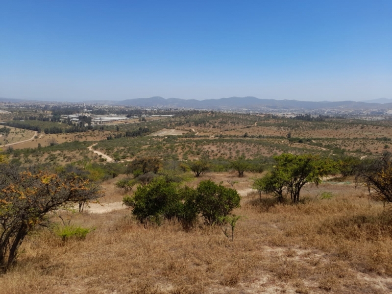 Terreno en venta en Villa Alemana — foto 5