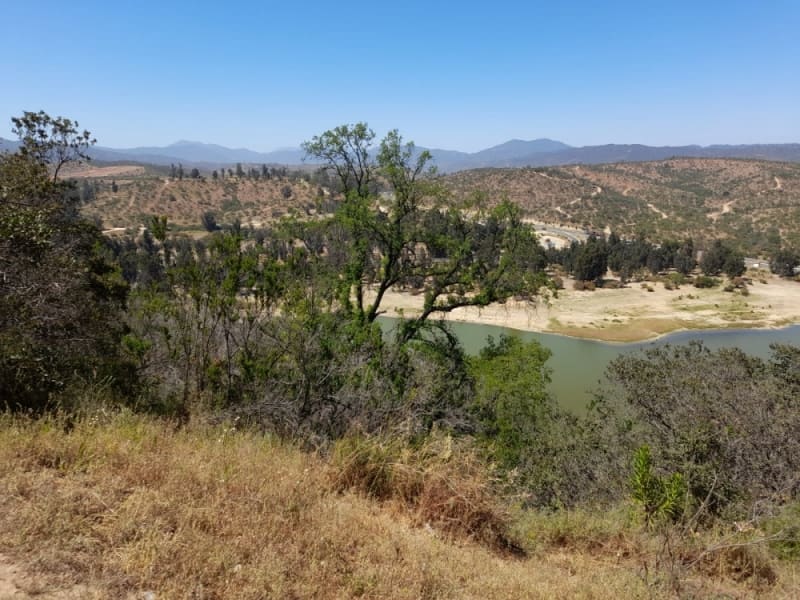 Terreno en venta en Villa Alemana — foto 7