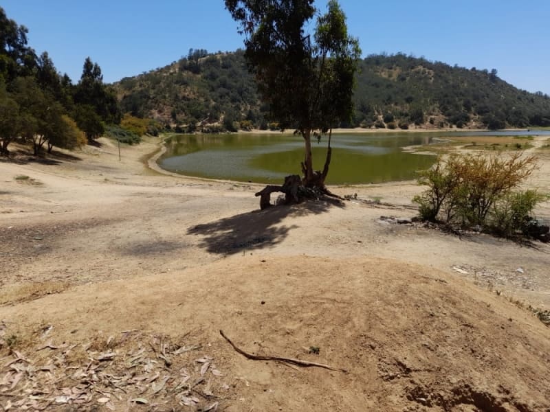Terreno en venta en Villa Alemana — foto 9