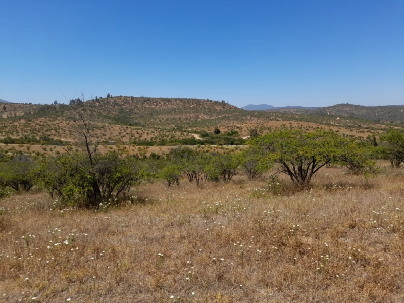 Terreno en venta en Villa Alemana — foto 10