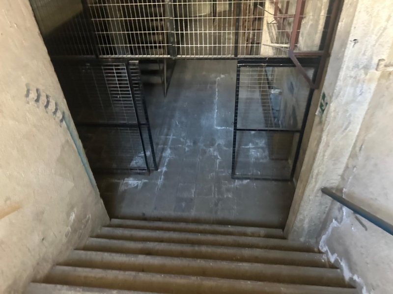 Local comercial en arriendo en Viña del Mar — foto 10