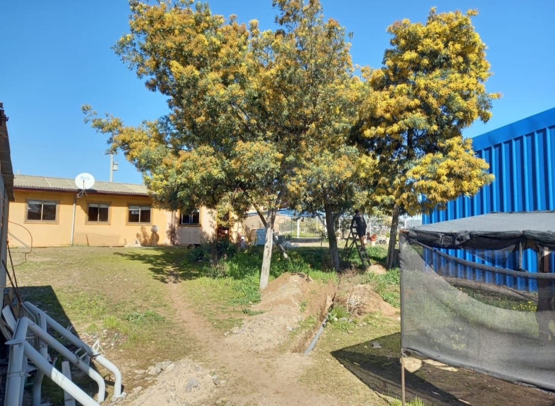 Bodega en arriendo en Concón — foto 4