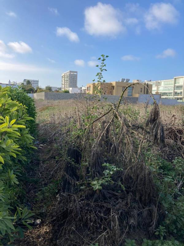 Terreno en venta en Viña del Mar — foto 1