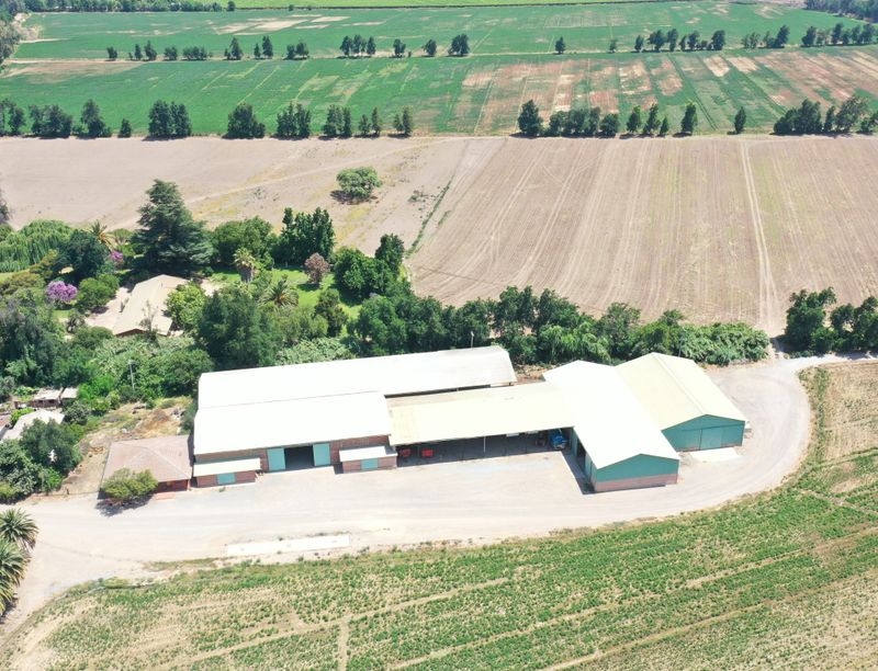 Parcela en venta en Catemu — foto 1