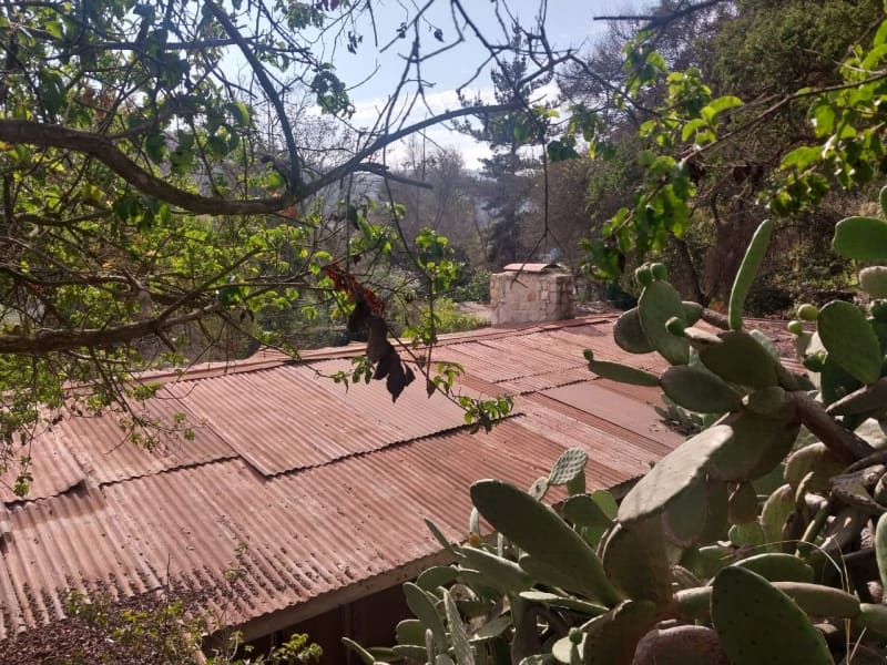 Terreno en venta en Viña del Mar — foto 4