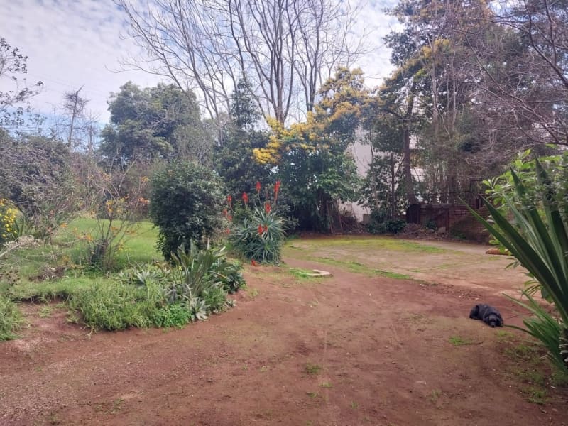 Terreno en venta en Viña del Mar — foto 5