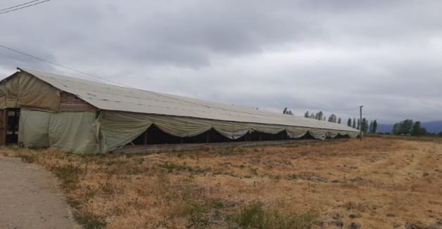 Terreno en venta en Melipilla — foto 4