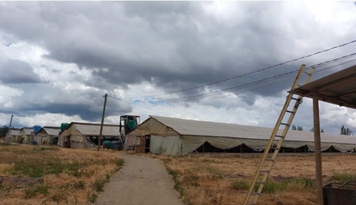 Terreno en venta en Melipilla — foto 6