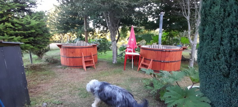 Local comercial en venta en Puerto Varas — foto 9