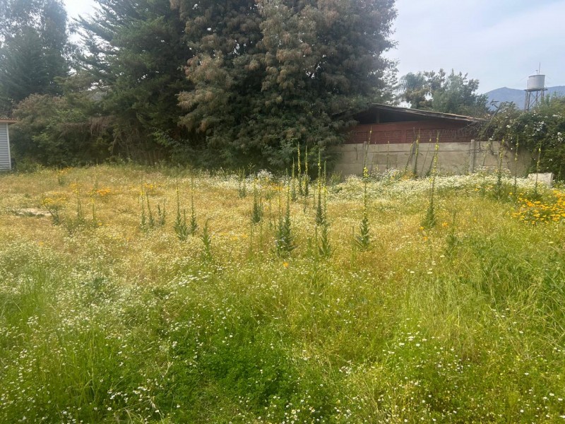 Terreno en venta en Olmué — foto 6