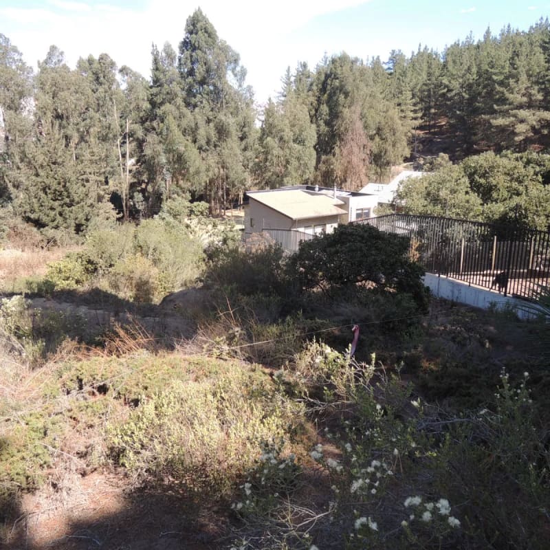 Terreno en venta en Viña del Mar — foto 3