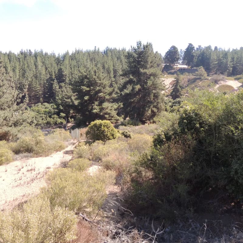Terreno en venta en Viña del Mar — foto 4