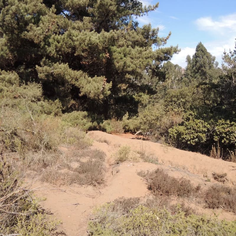 Terreno en venta en Viña del Mar — foto 6
