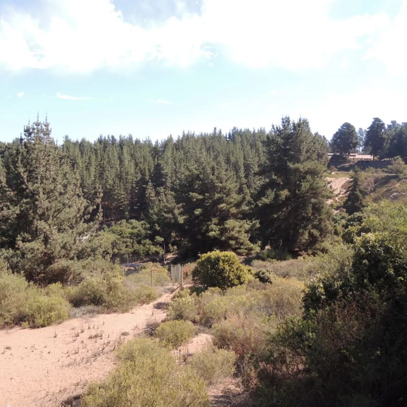 Terreno en venta en Viña del Mar — foto 7