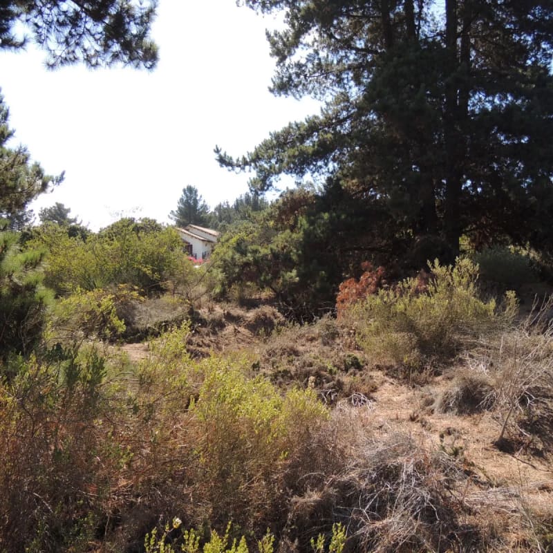 Terreno en venta en Viña del Mar — foto 8