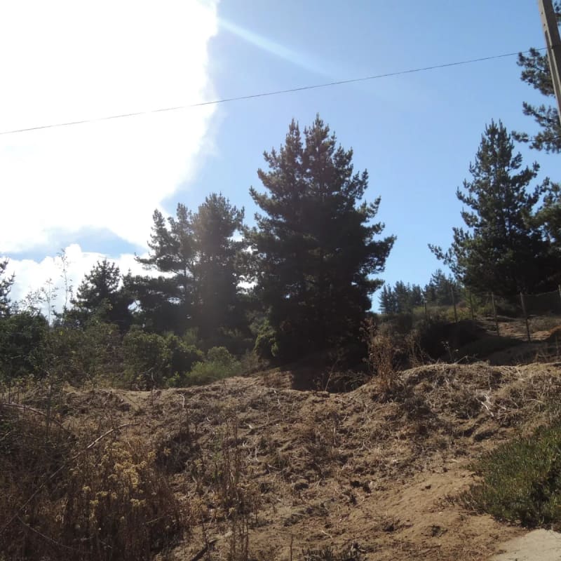 Terreno en venta en Viña del Mar — foto 9