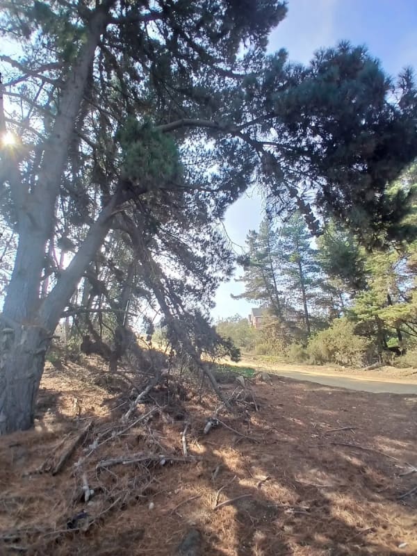 Terreno en venta en Concón — foto 3