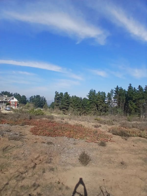 Terreno en venta en Concón — foto 7