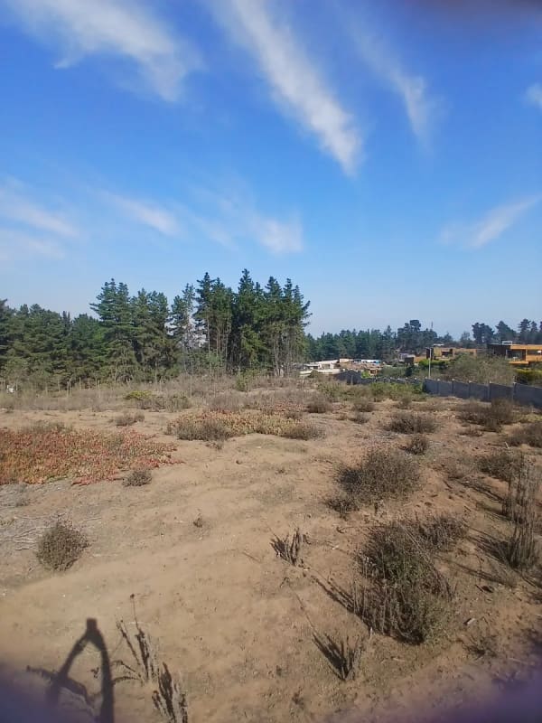 Terreno en venta en Concón — foto 10