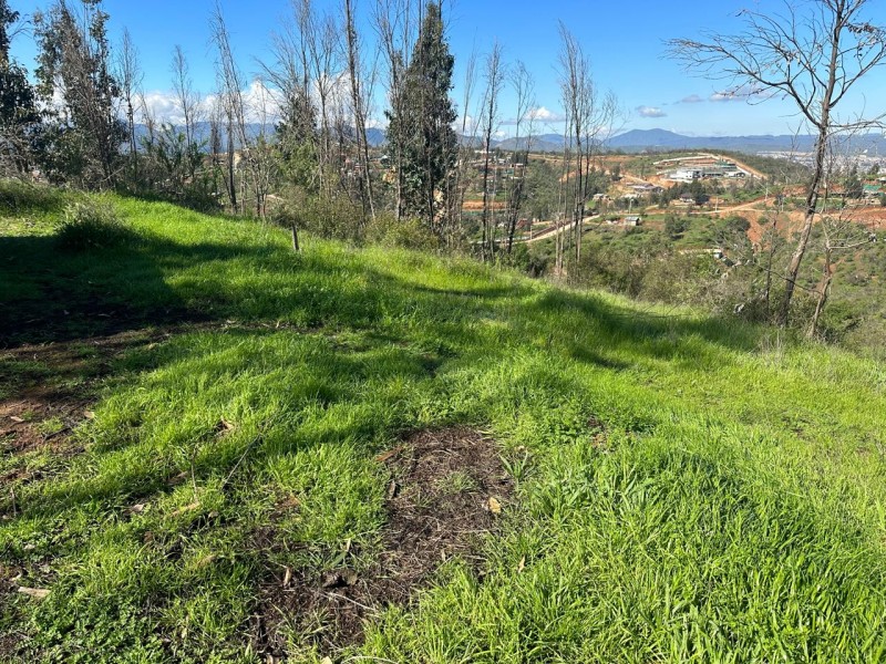 Parcela en venta en Villa Alemana — foto 3