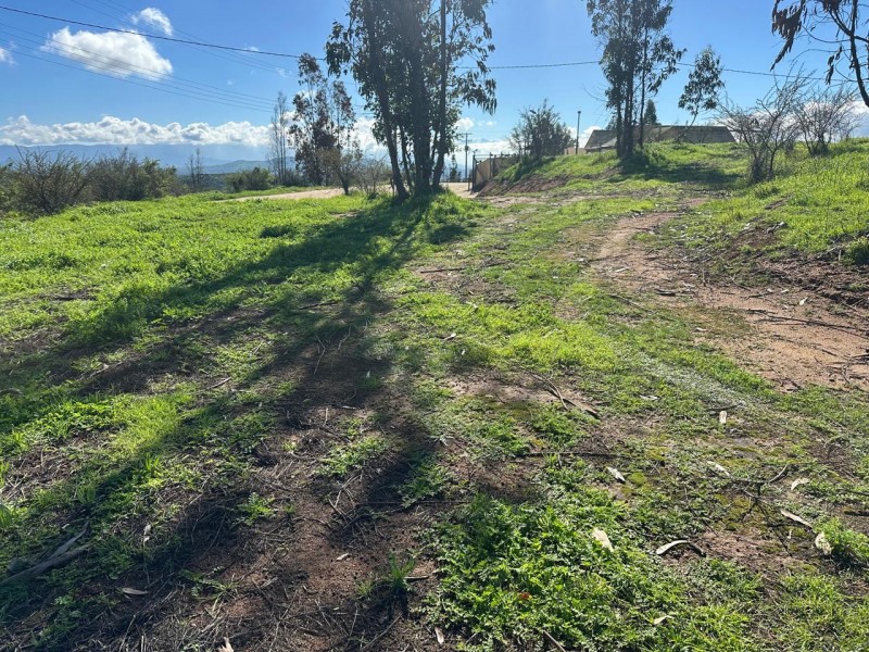 Parcela en venta en Villa Alemana — foto 4