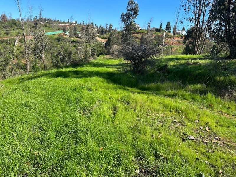 Parcela en venta en Villa Alemana — foto 6