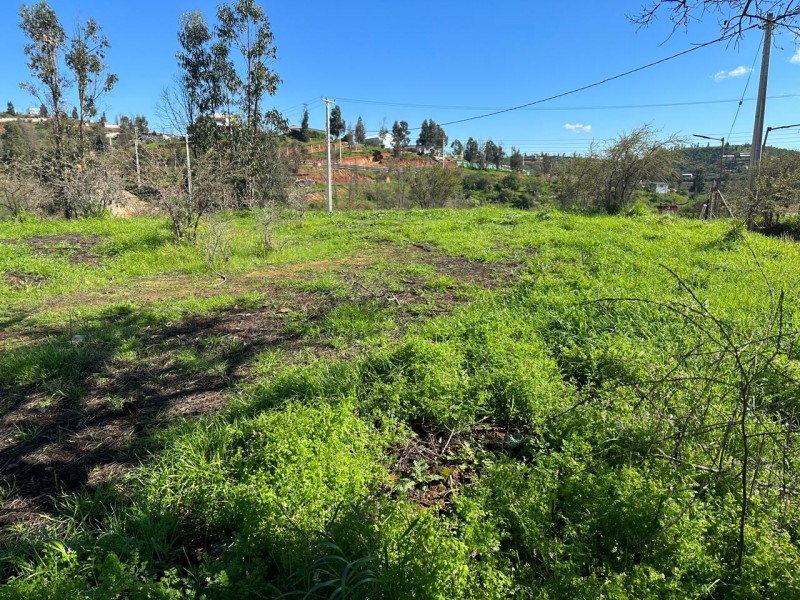 Parcela en venta en Villa Alemana — foto 7